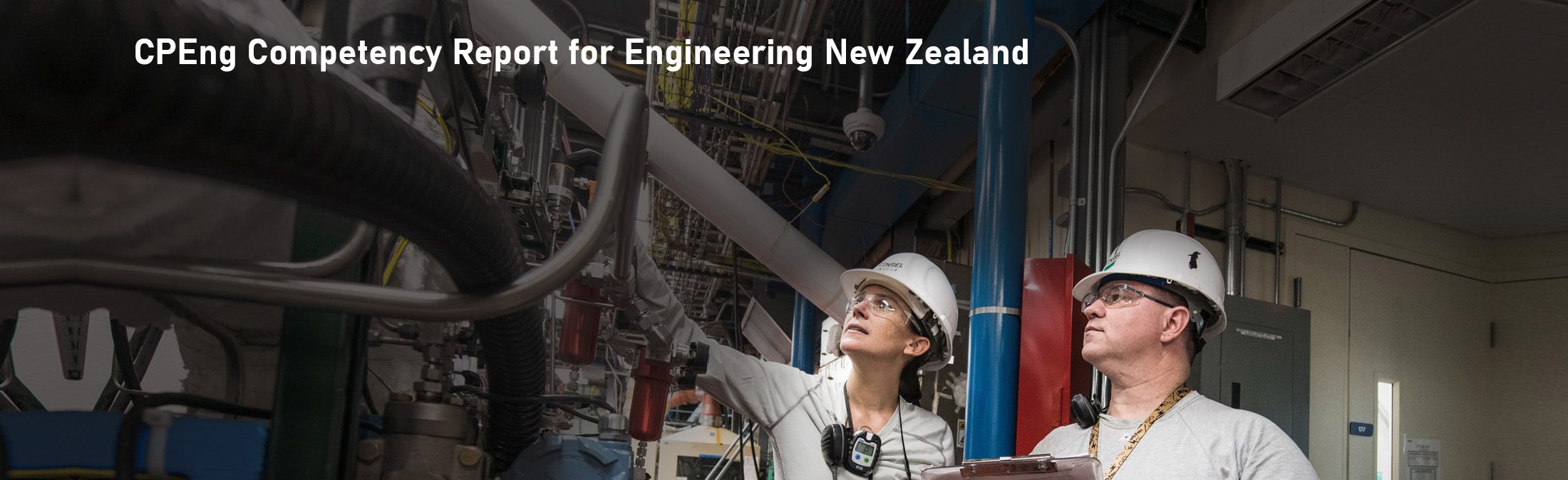 chartered professional engineer New Zealand